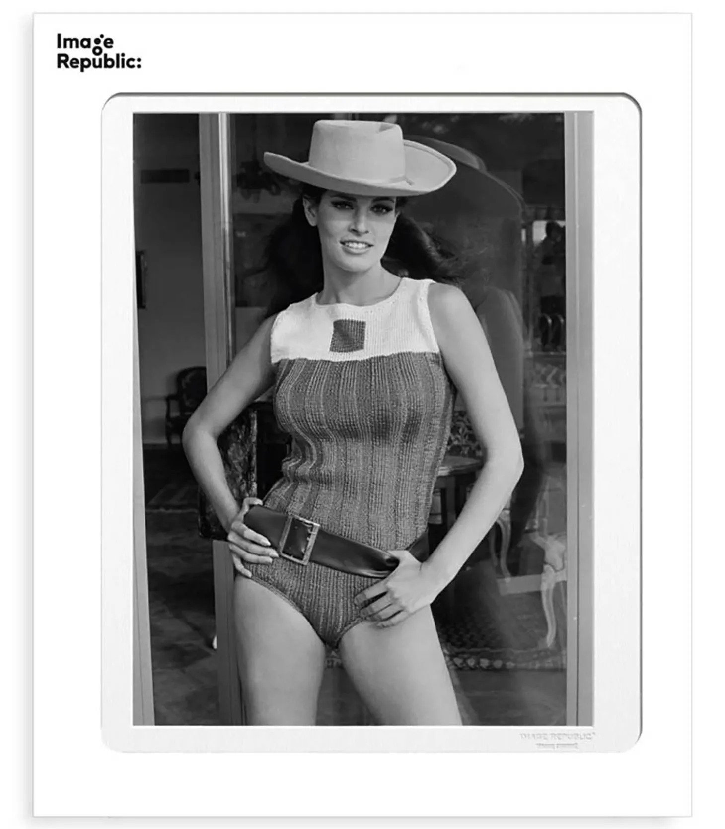 Affiche La Galerie Raquel Welch 3 38 x 56 cm-Image Republic Hot