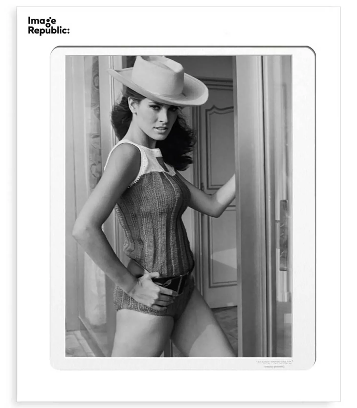 Affiche La Galerie Raquel Welch 2 38 x 56 cm-Image Republic Discount