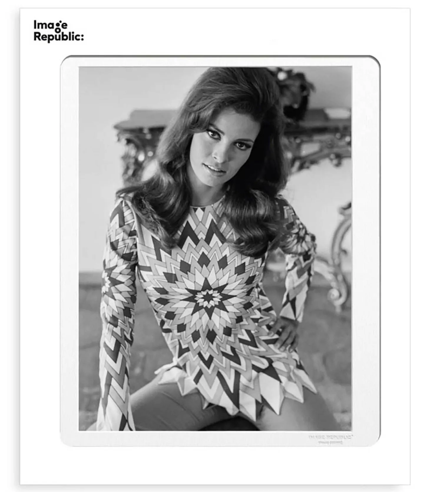 Affiche La Galerie Raquel Welch 5 38 x 56 cm-Image Republic Cheap