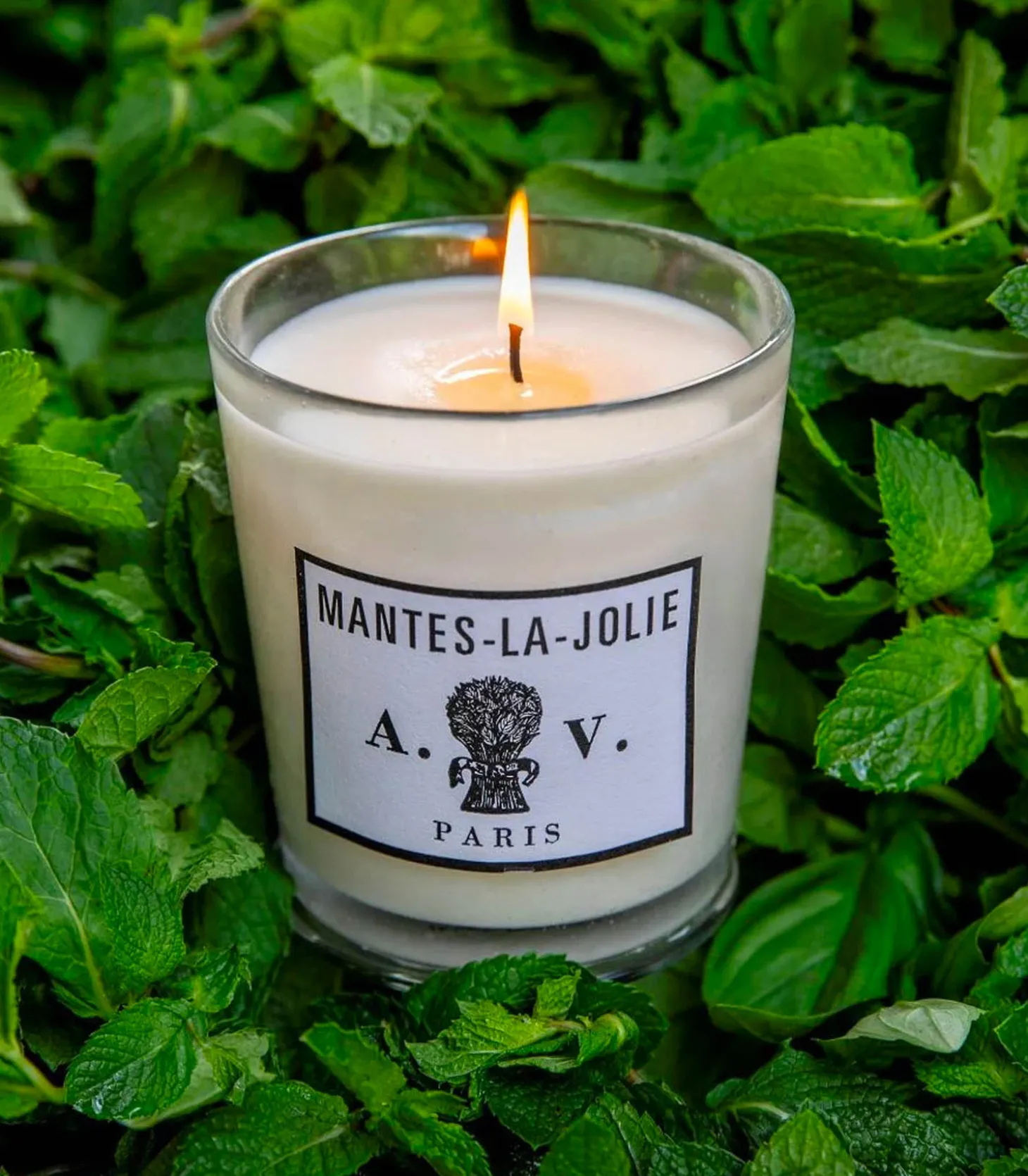 Bougie parfumée Mantes-La-Jolie-Astier de Villatte Discount