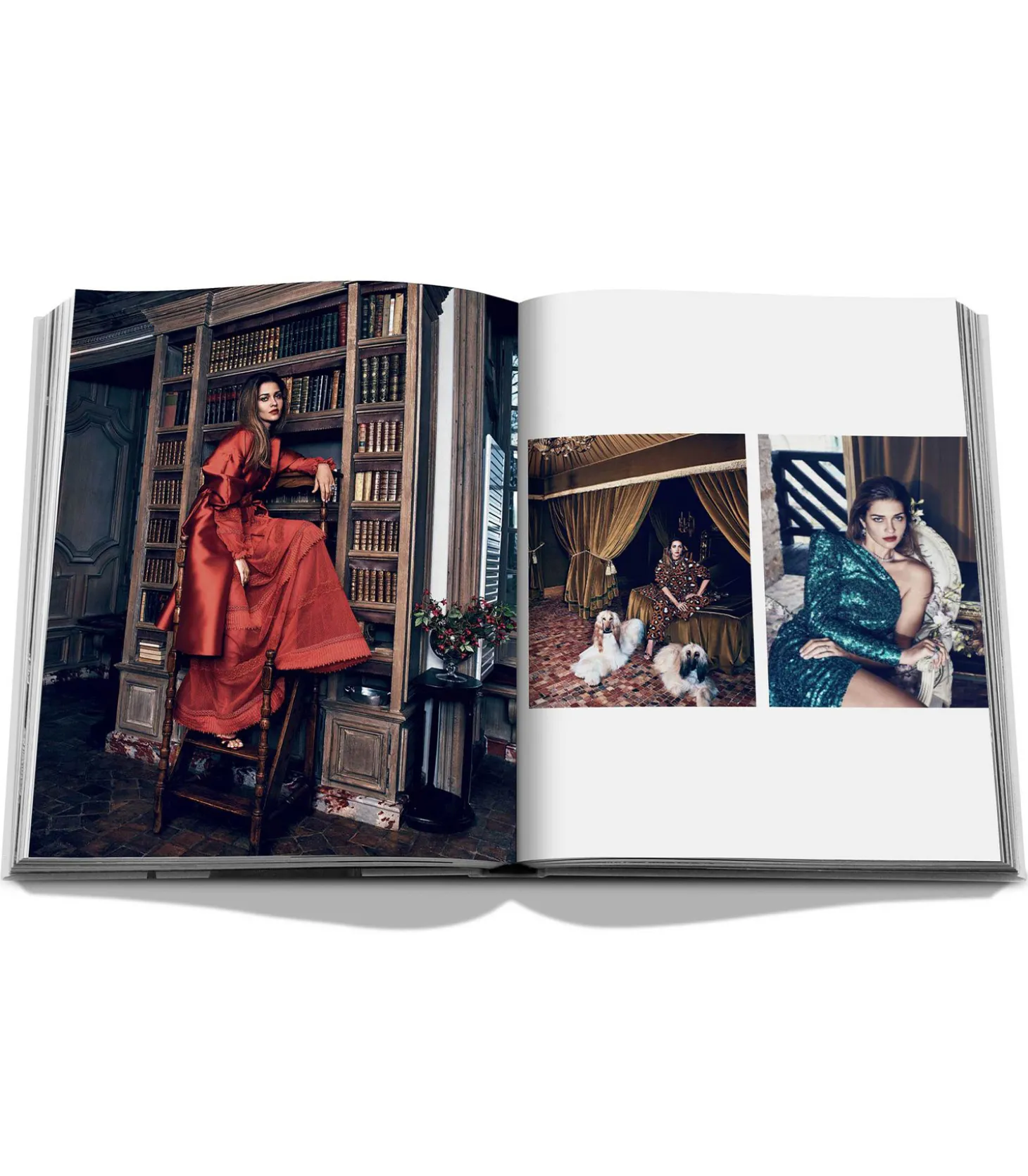 Livre Savoir Flair-Assouline Fashion